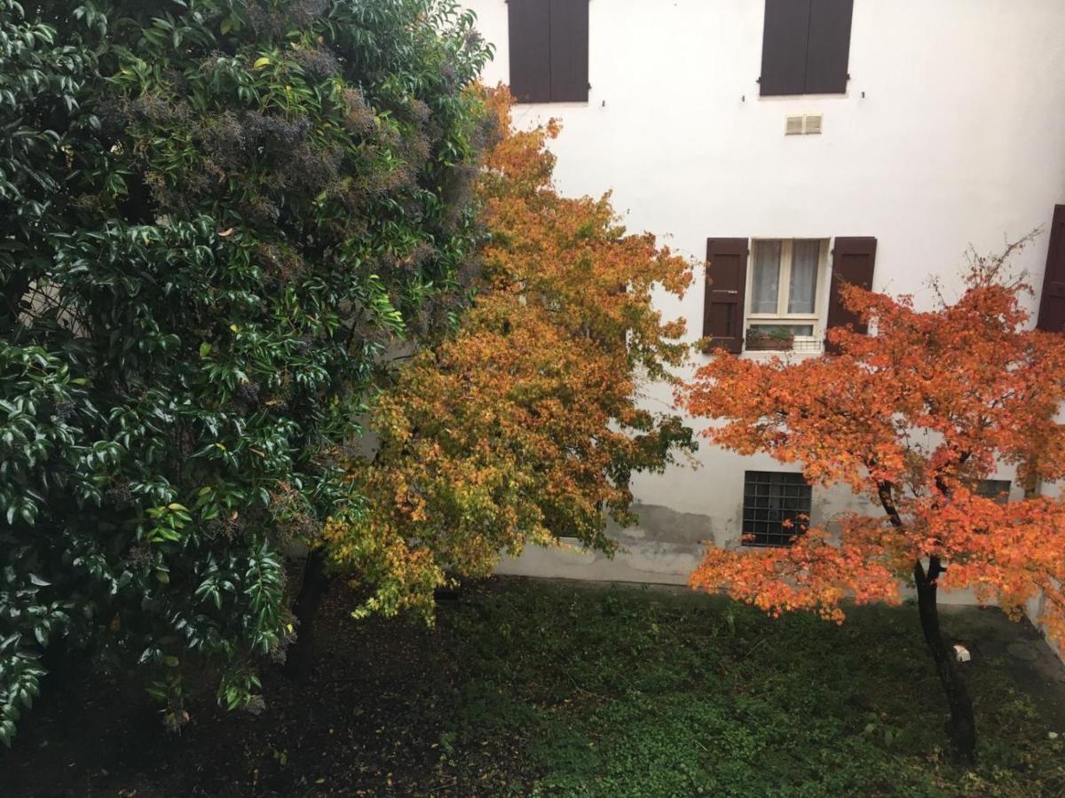 Dimora Cecilia, Nel Cuore Della Citta Vicenza Zewnętrze zdjęcie